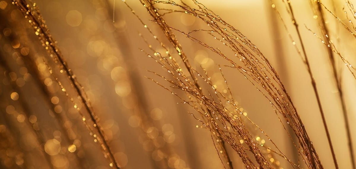 Stop selling gold when all you've got to offer is a process