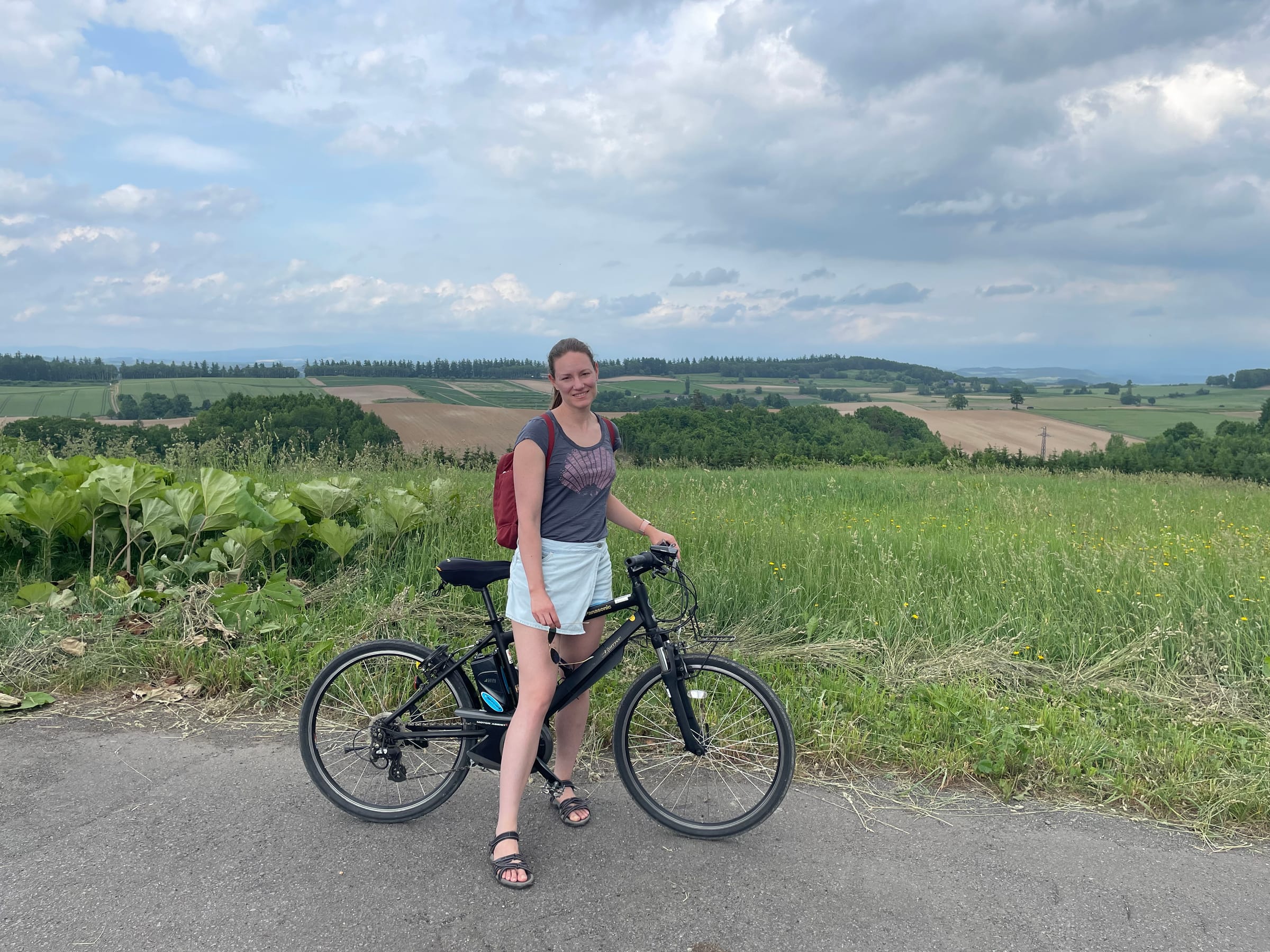 Why I bought an (expensive) e-bike