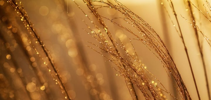 Stop selling gold when all you've got to offer is a process